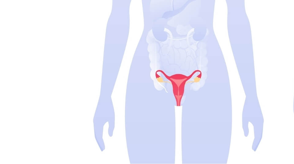 urologia-femenina